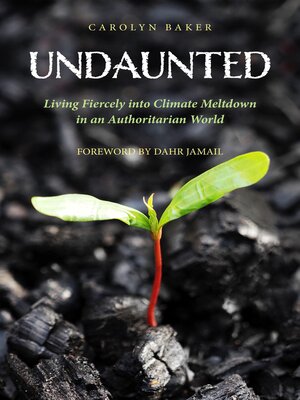 cover image of Undaunted